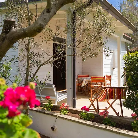 Agriturismo Scalelle