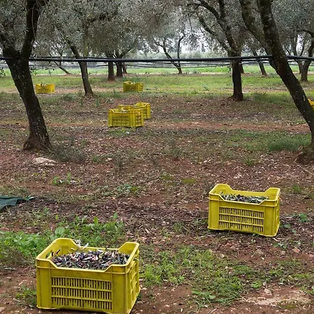 Azienda Agrituristica Scalelle *